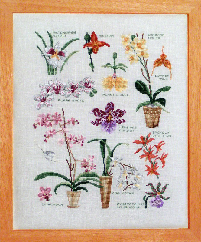 Lucas Creations - Varietes Orchidees / Орхидеи, схема для вышивания крестом